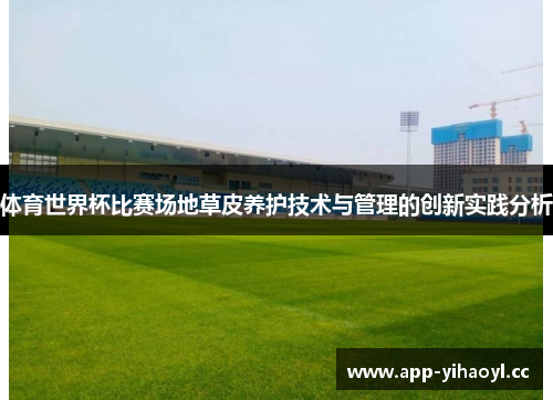 体育世界杯比赛场地草皮养护技术与管理的创新实践分析