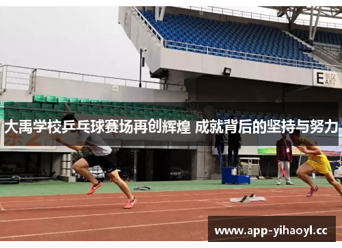 大禹学校乒乓球赛场再创辉煌 成就背后的坚持与努力