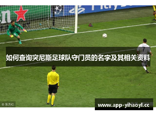 如何查询突尼斯足球队守门员的名字及其相关资料
