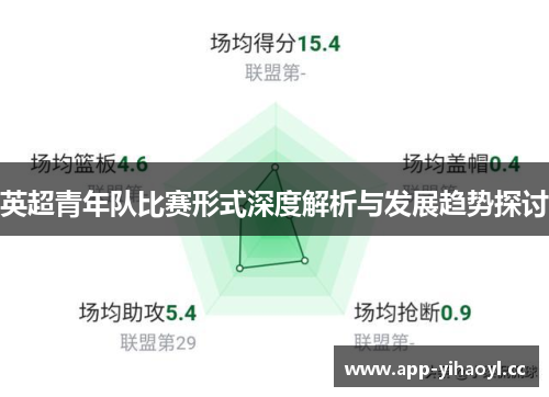 英超青年队比赛形式深度解析与发展趋势探讨